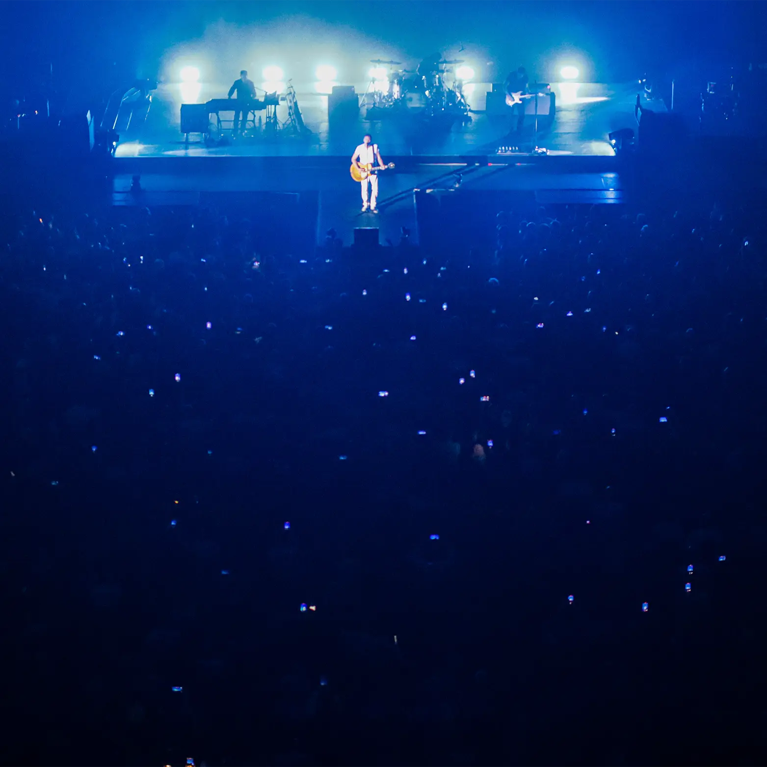 Imagen de Monkey Pro